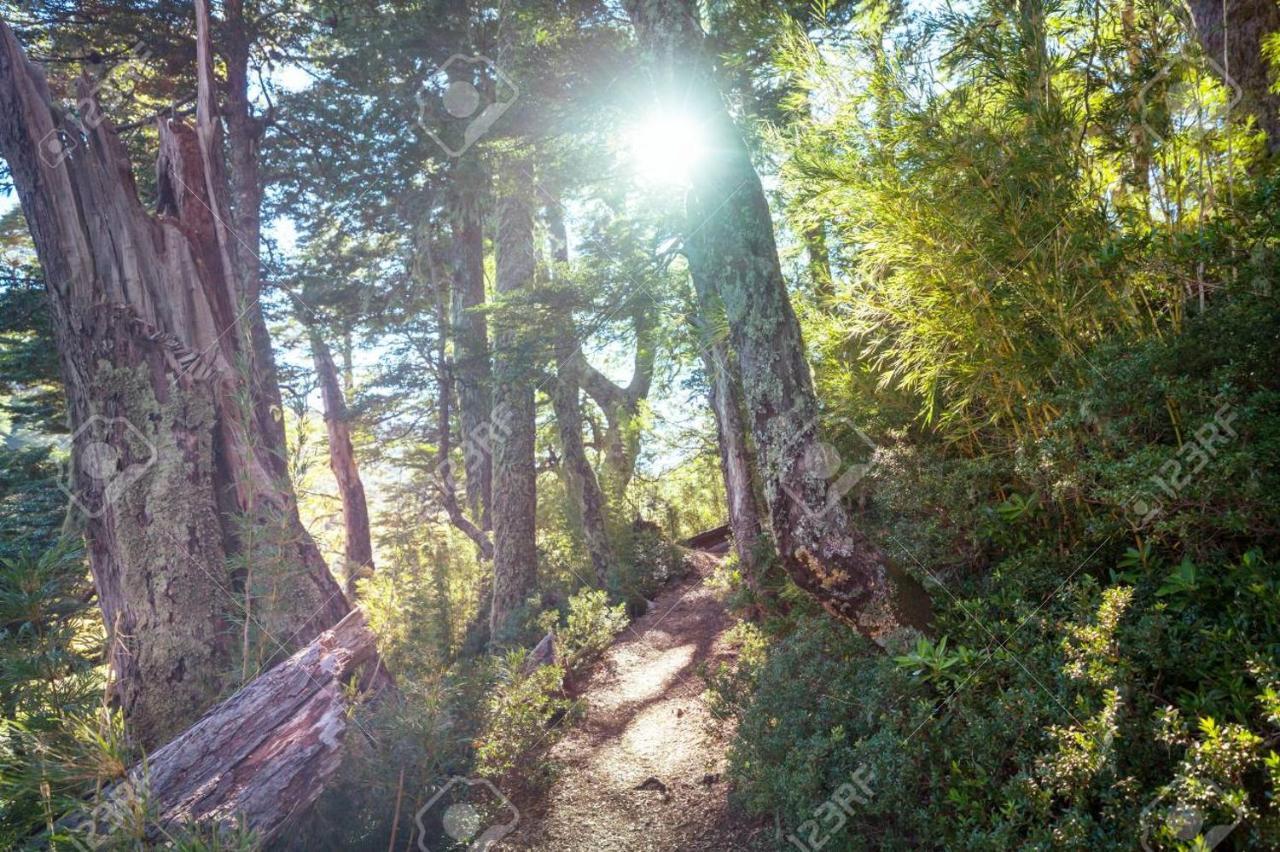 Foret Austral Ranomafana Exteriör bild